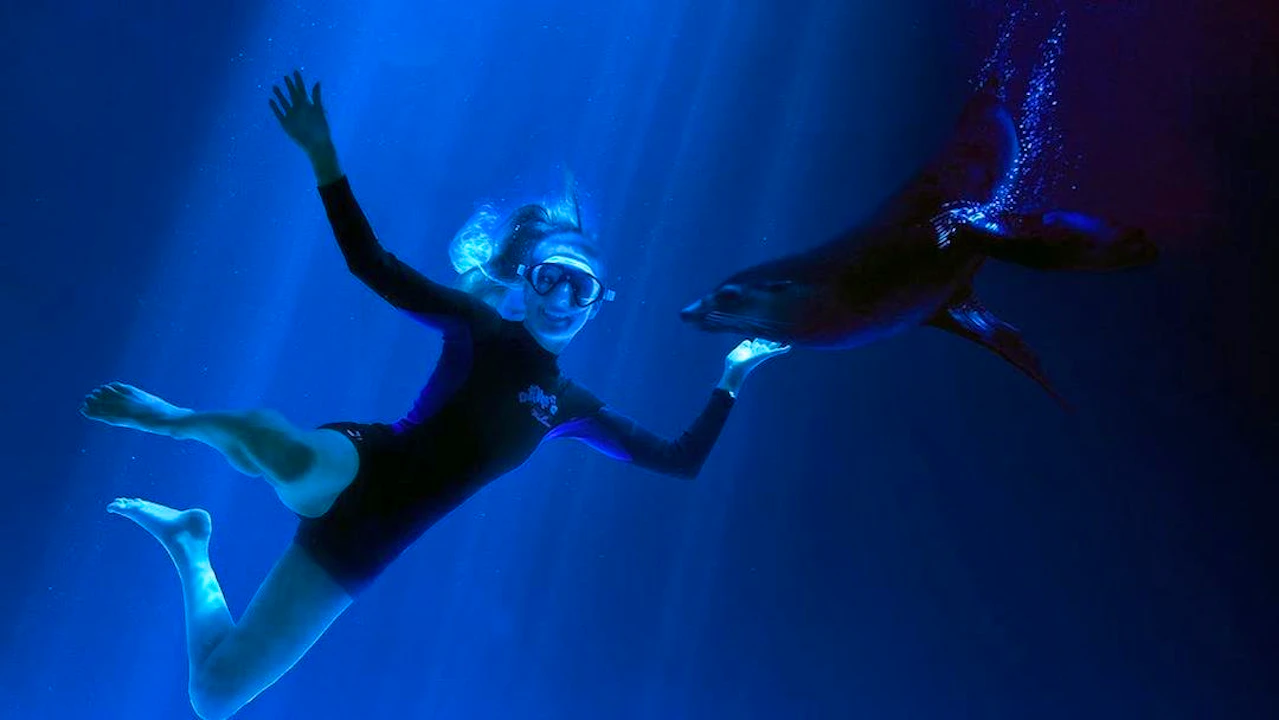 SEA LIFE Sunshine Coast Price